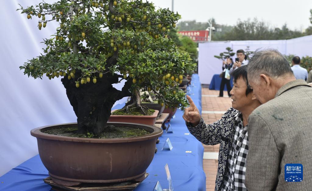 云顶娱乐网址